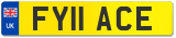 FY11 ACE