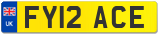 FY12 ACE