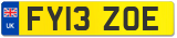 FY13 ZOE