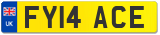FY14 ACE