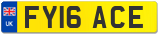 FY16 ACE