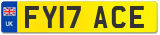 FY17 ACE