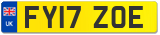 FY17 ZOE