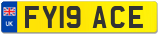 FY19 ACE
