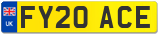 FY20 ACE
