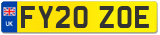 FY20 ZOE