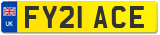 FY21 ACE