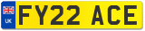 FY22 ACE