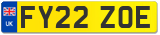 FY22 ZOE