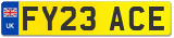 FY23 ACE
