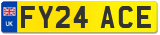 FY24 ACE