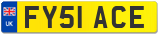 FY51 ACE