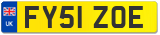 FY51 ZOE