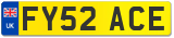 FY52 ACE