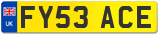 FY53 ACE