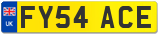 FY54 ACE