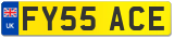 FY55 ACE