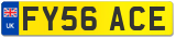 FY56 ACE