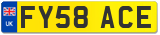 FY58 ACE