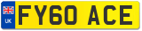 FY60 ACE