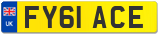 FY61 ACE