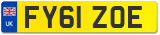 FY61 ZOE