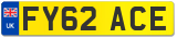 FY62 ACE