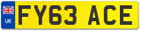 FY63 ACE