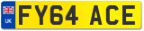 FY64 ACE