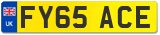 FY65 ACE