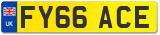 FY66 ACE