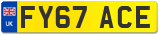 FY67 ACE