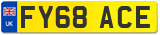 FY68 ACE