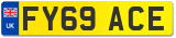 FY69 ACE