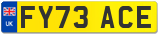 FY73 ACE