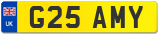 G25 AMY