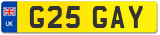 G25 GAY
