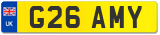 G26 AMY