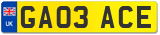 GA03 ACE