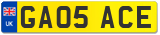 GA05 ACE