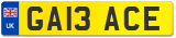 GA13 ACE