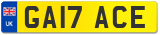 GA17 ACE