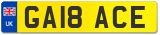 GA18 ACE