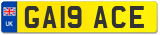 GA19 ACE