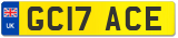GC17 ACE