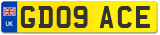 GD09 ACE