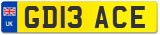 GD13 ACE