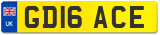 GD16 ACE