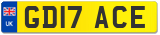 GD17 ACE