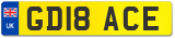 GD18 ACE